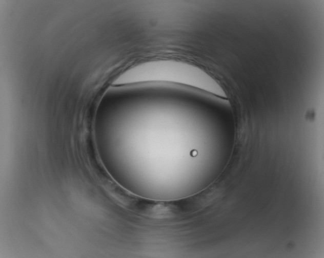 X0000113320566200909211159