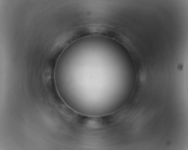 X0000113320567200909211159