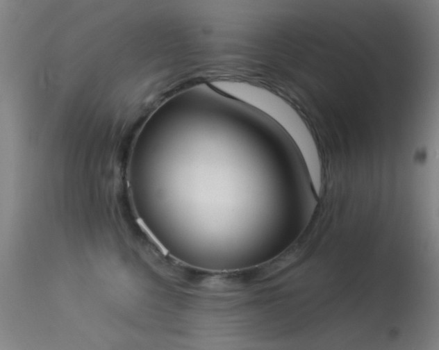 X0000113320568200909211159