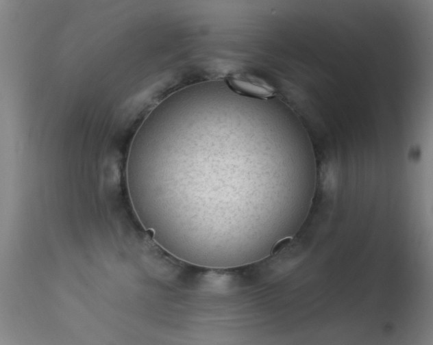 X0000113320570200909211159