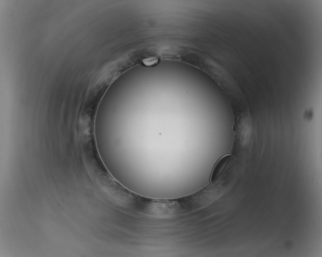 X0000113320571200909211159