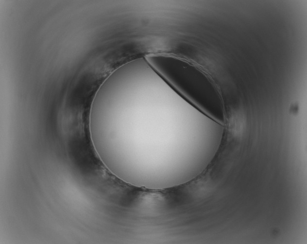 X0000113320572200909211159