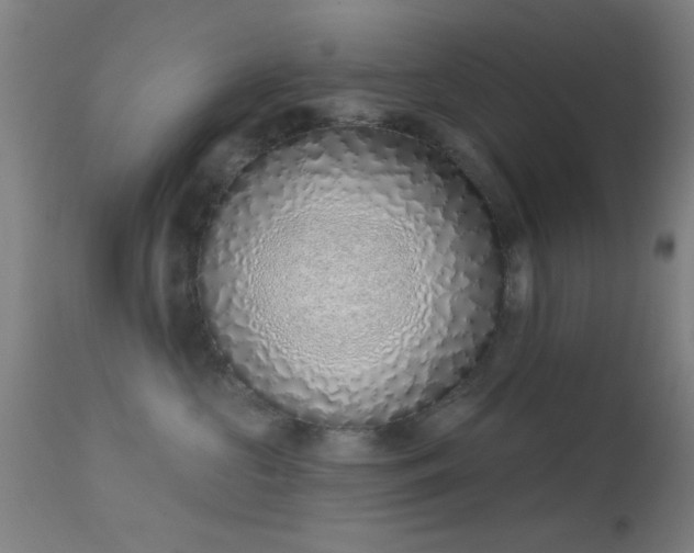 X0000113320573200909211159