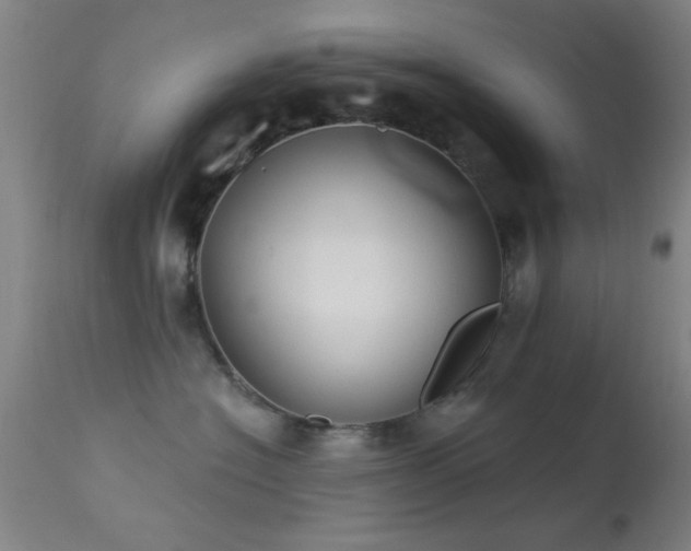 X0000113320574200909211159