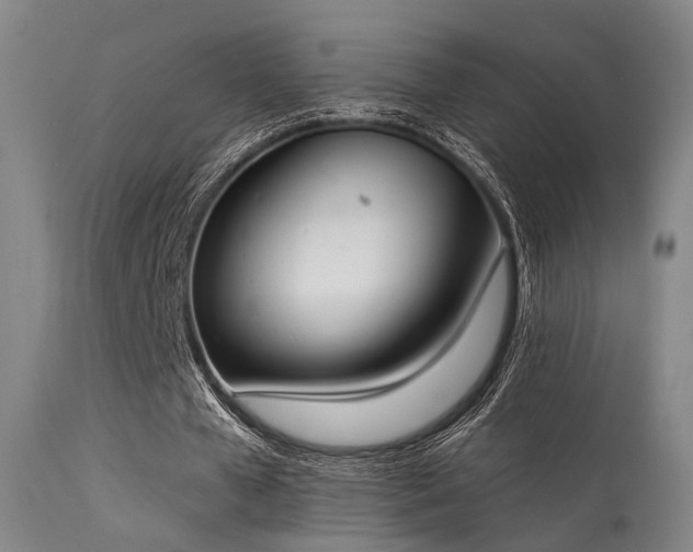 X0000113320577200909211158