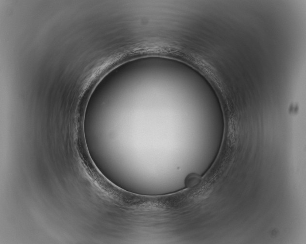 X0000113320578200909211158