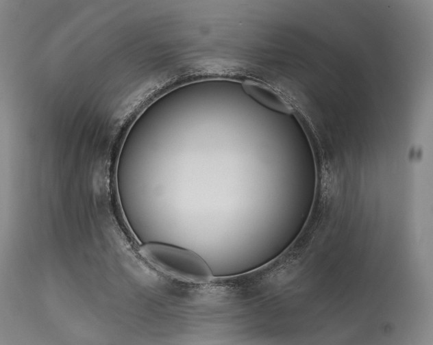 X0000113320581200909211158