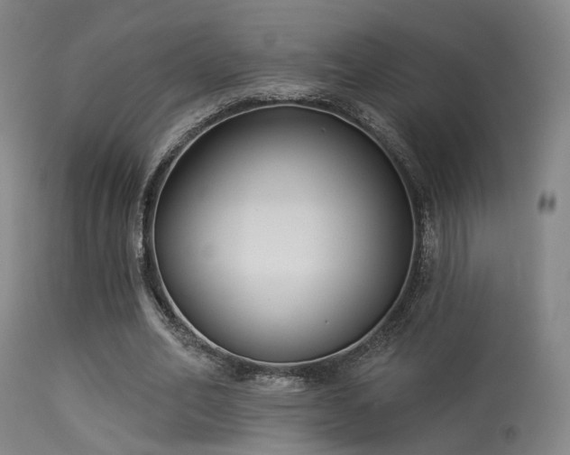 X0000113320582200909211158