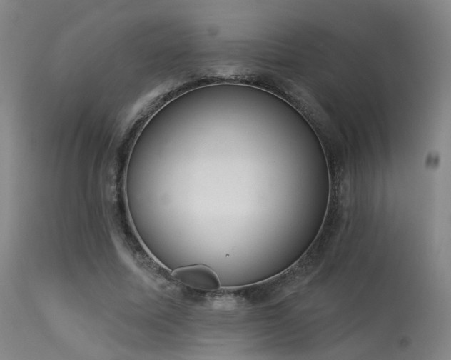 X0000113320587200909211158