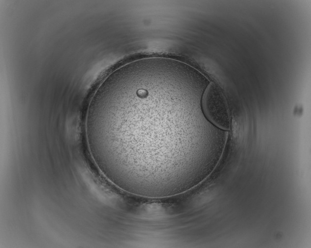 X0000113320588200909211158