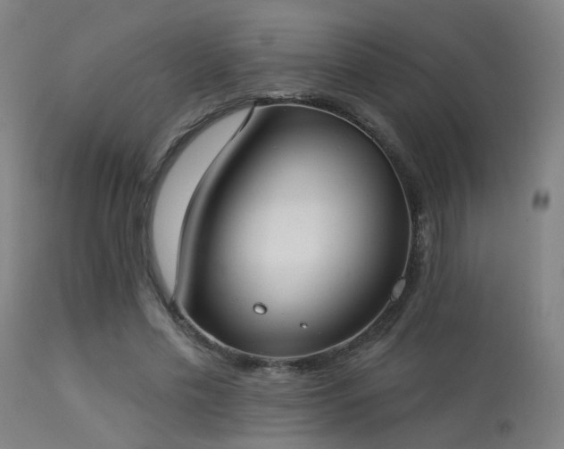 X0000113320589200909211158