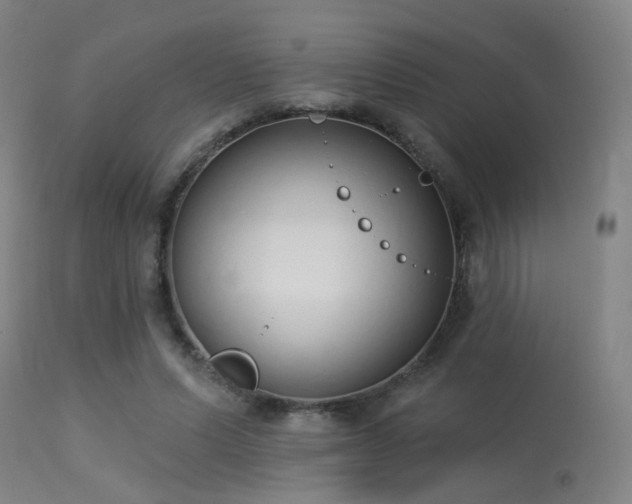 X0000113320591200909211158