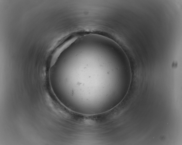 X0000113320592200909211158