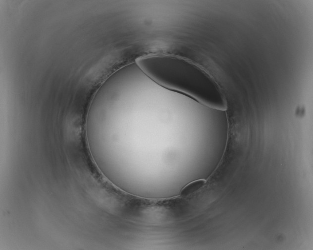 X0000113320593200909211158