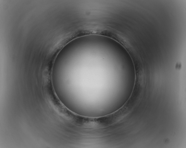 X0000113320594200909211158