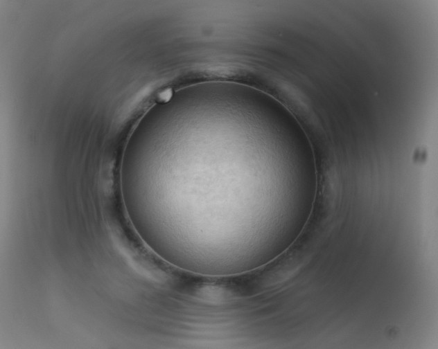 X0000113320596200909211158