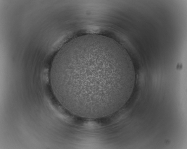 X0000113320598200909211158