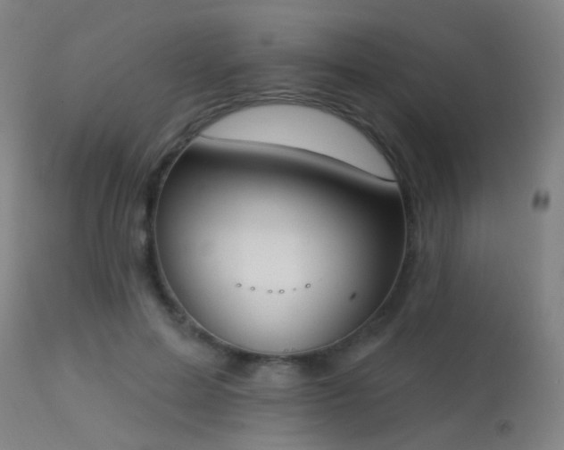 X0000113320599200909211158