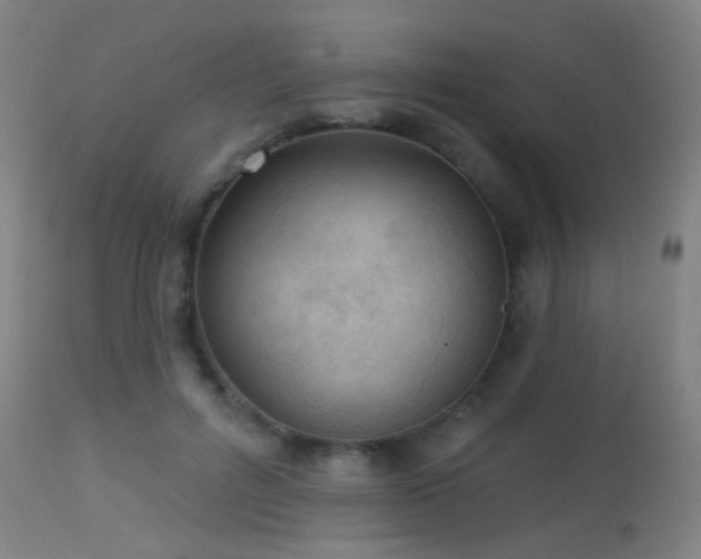 X0000113320600200909211158