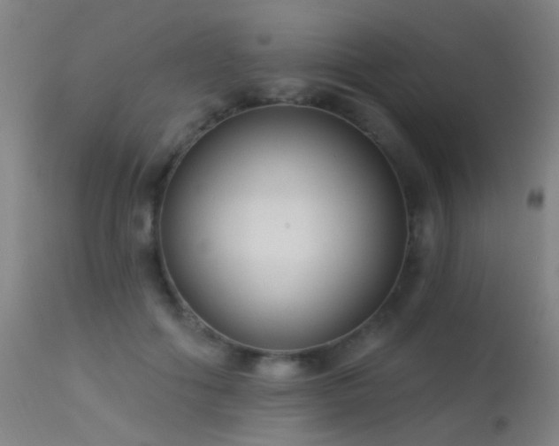 X0000113320602200909211158