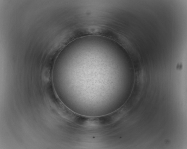 X0000113320606200909211157