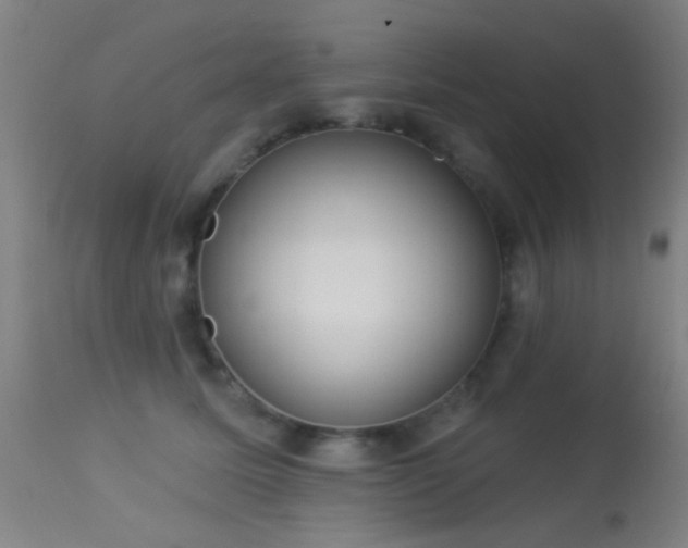 X0000113320611200909211157