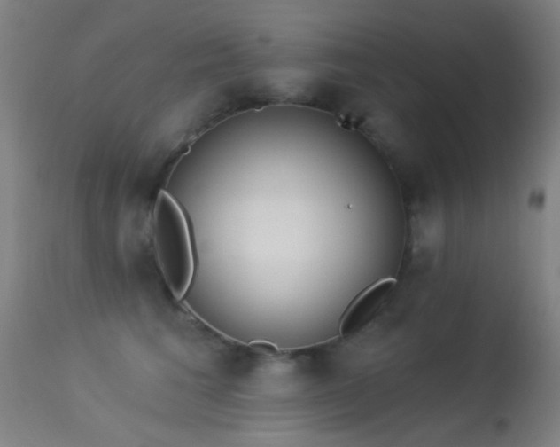 X0000113320613200909211157