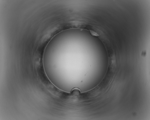 X0000113320615200909211157