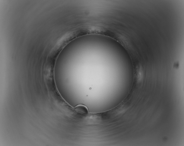 X0000113320619200909211157