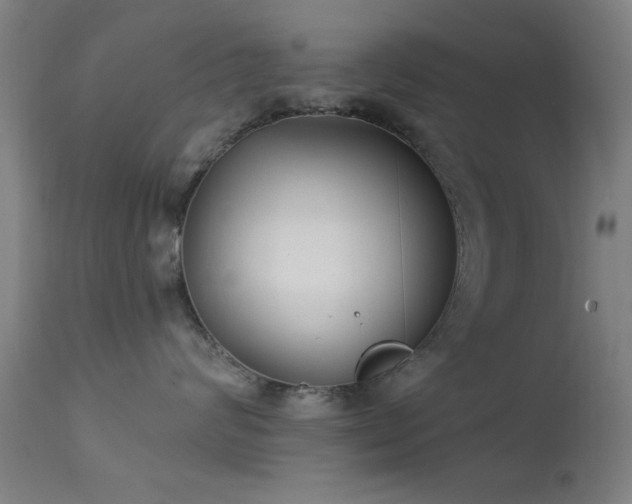 X0000113320624200909211157