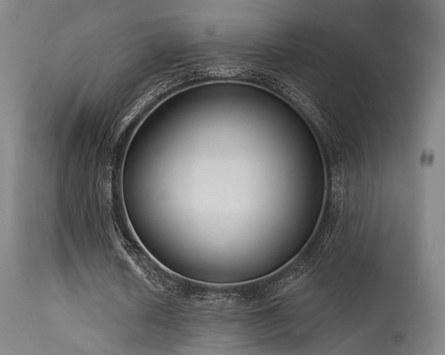 X0000113320626200909211156