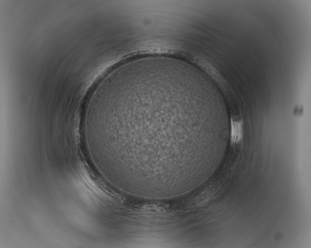 X0000113320627200909211156