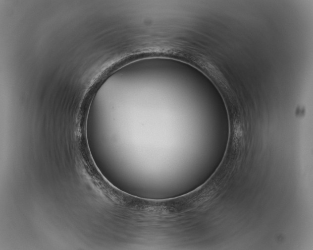 X0000113320628200909211156