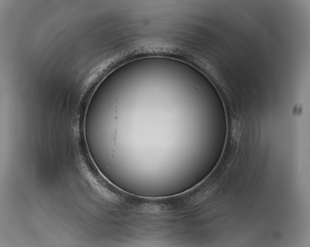 X0000113320629200909211156