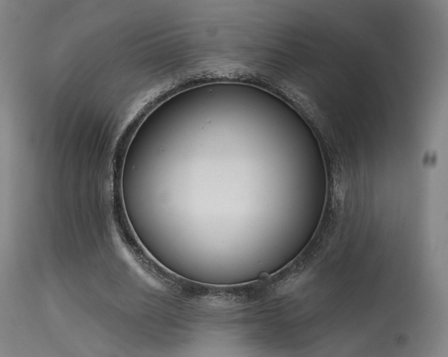 X0000113320630200909211156