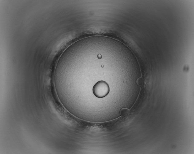 X0000113320635200909211157