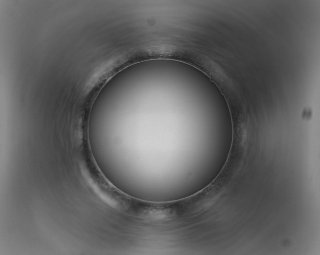 X0000113320638200909211157