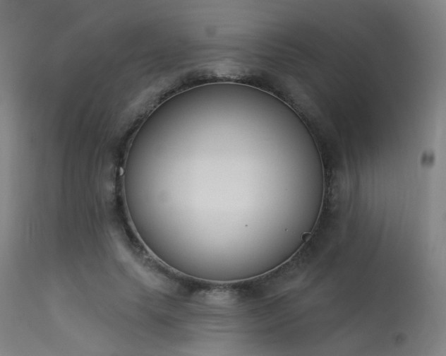 X0000113320639200909211157