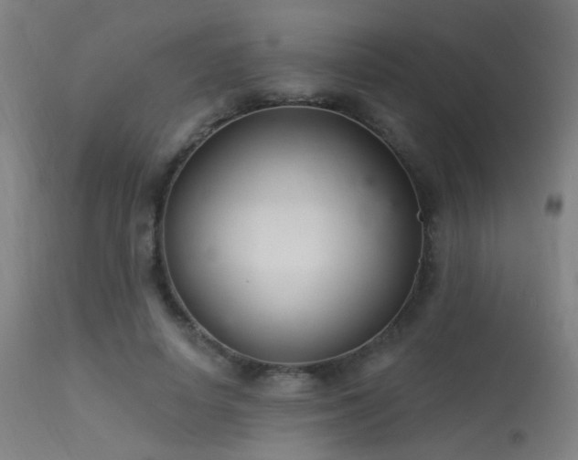 X0000113320642200909211157