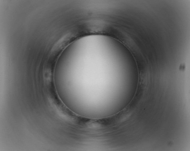 X0000113320648200909211157