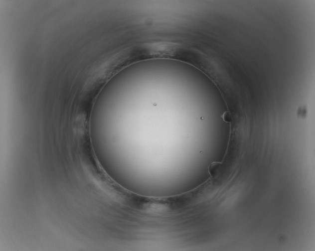 X0000113320649200909211157