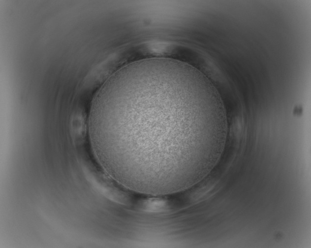 X0000113320651200909211157