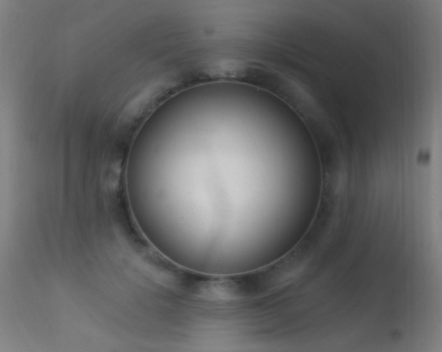 X0000113320652200909211157