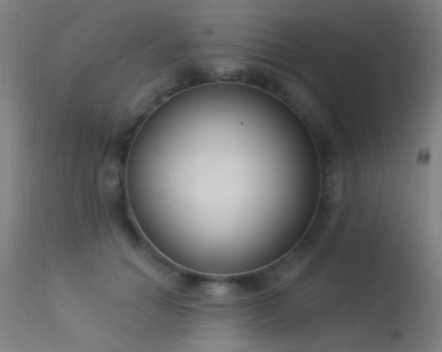 X0000113320654200909211157