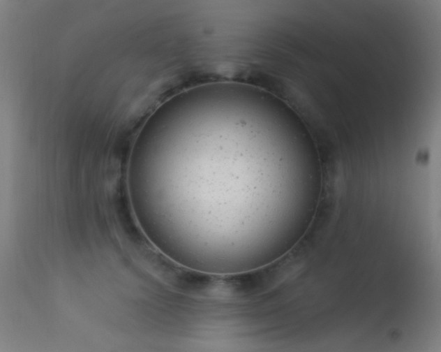 X0000113320656200909211157