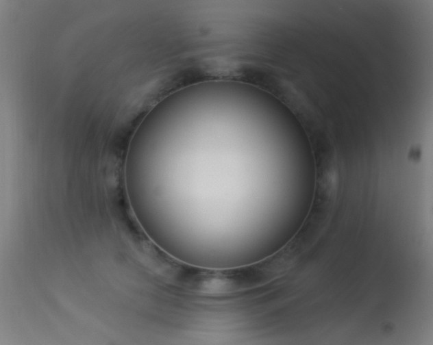 X0000113320658200909211157