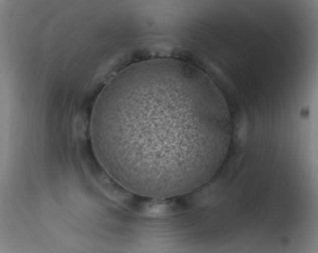 X0000113320661200909211157