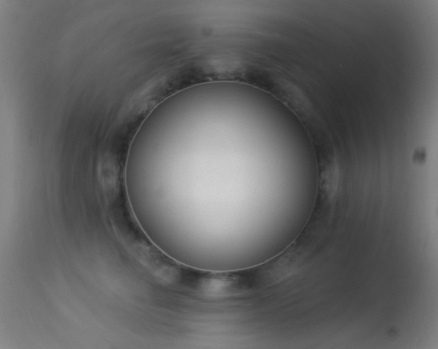 X0000113320662200909211157