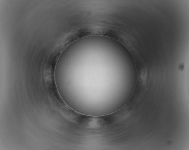 X0000113320663200909211157