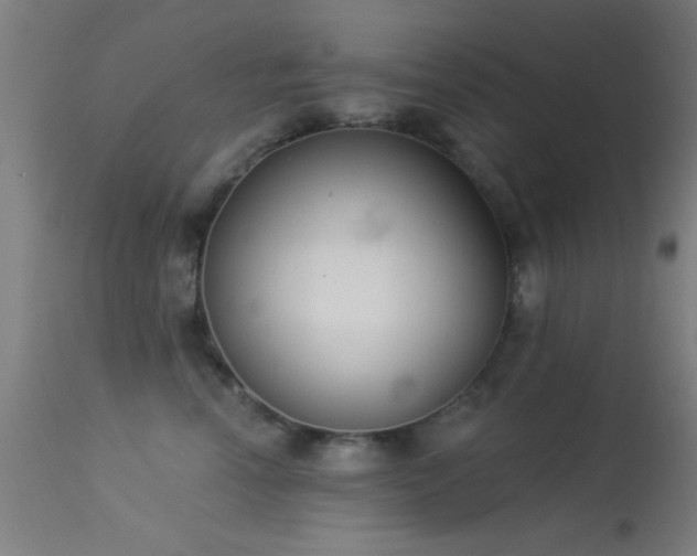 X0000113320666200909211157